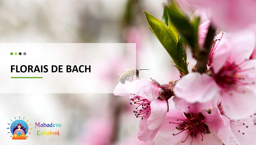 E-book: Florais de Bach